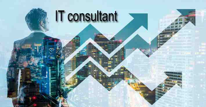 IT Consultant